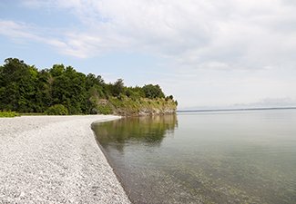 Little Bluff Conservation Area